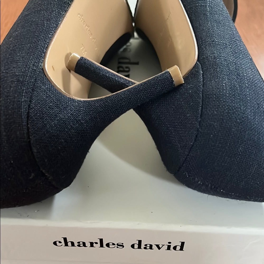 Charles David Amari Blue Pointed-Toe Heels - Picture 6 of 10